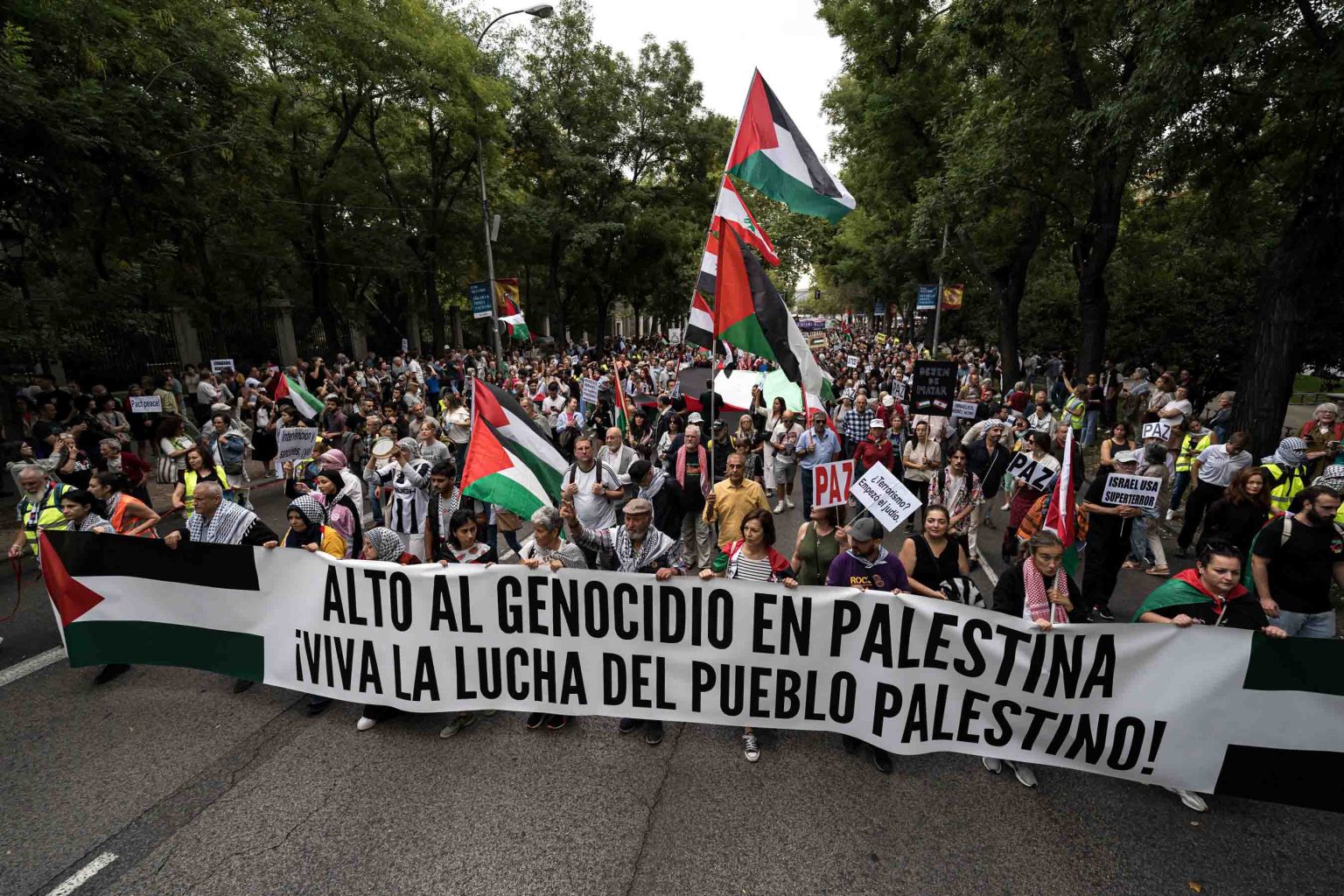 Miles se manifiestan en apoyo a Palestina mientras la tension en Oriente Proximo aumenta1