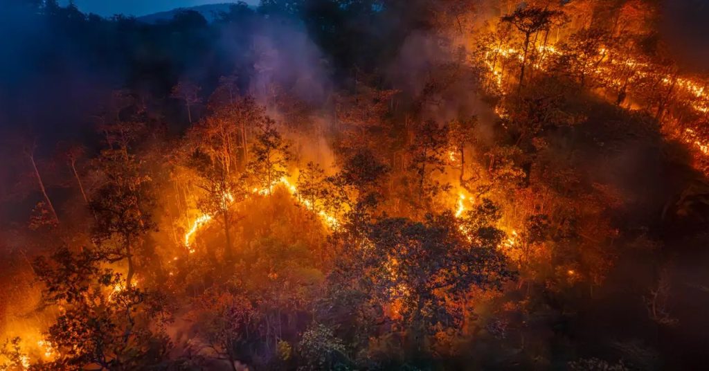 incendios en la historia de California eljacaguero