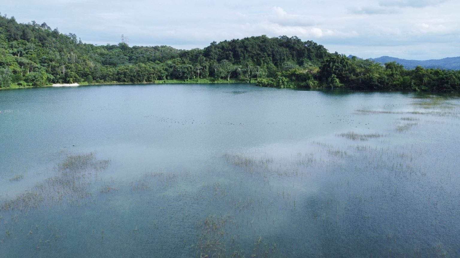 PRESA MEJITA REMEDIADA