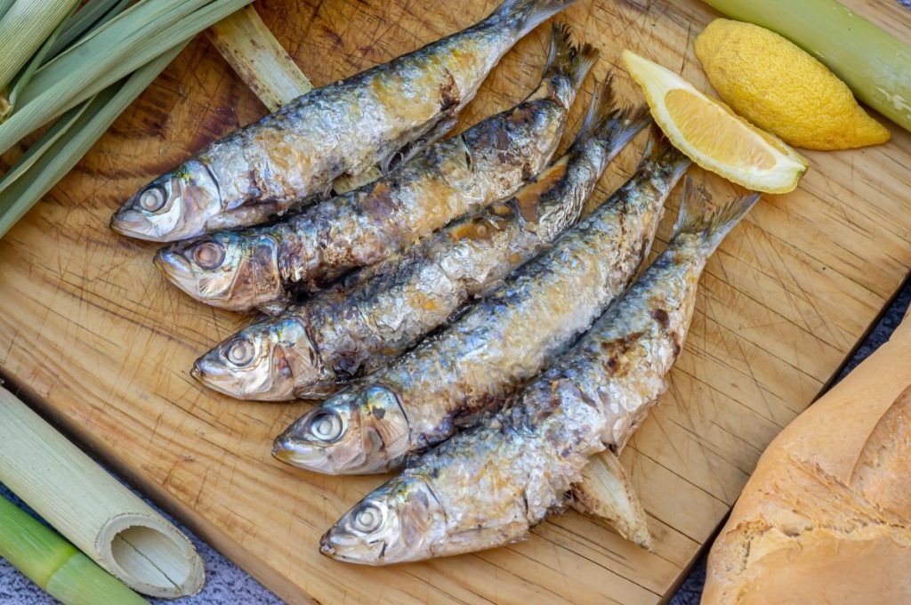 Sardinas eljacaguero