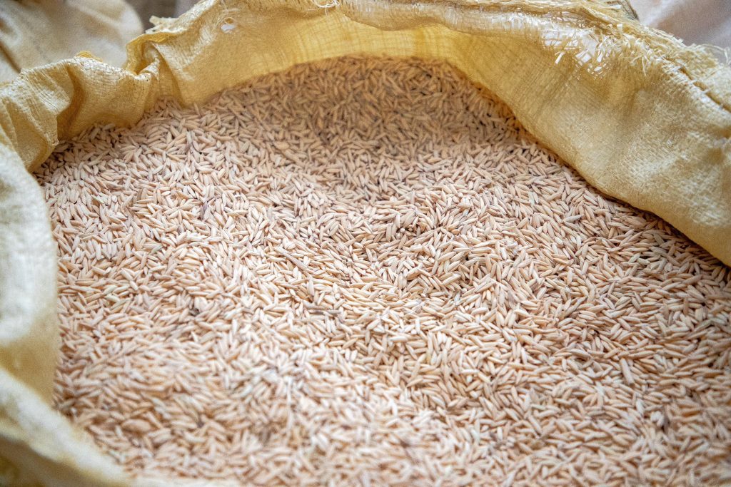 arroz eljacaguero