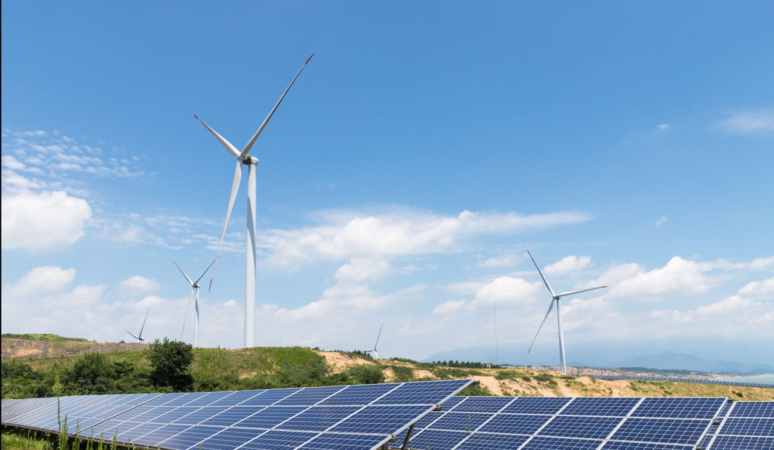 paneles solares y eolica eljacaguero