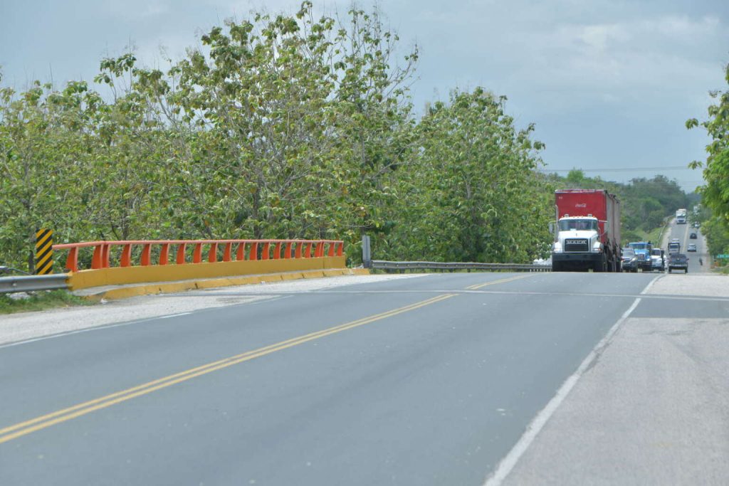 puente en la Autovia del Nordeste1
