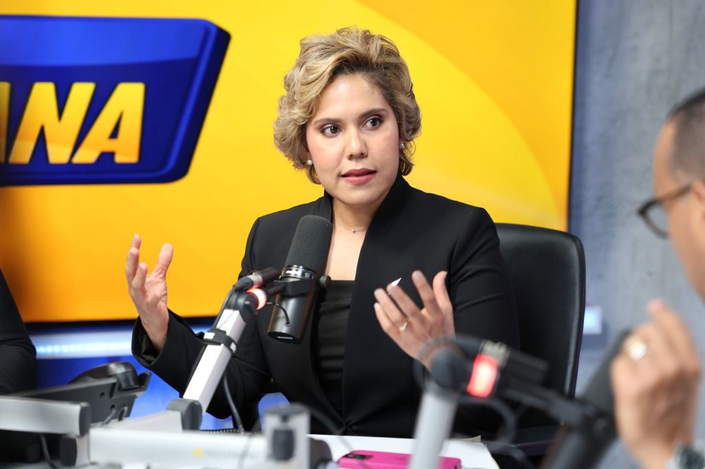 ProCompetencia insiste en reforma legal para evitar abusos en fusiones empresariales Maria Elena Vasquez Taveras eljacaguero