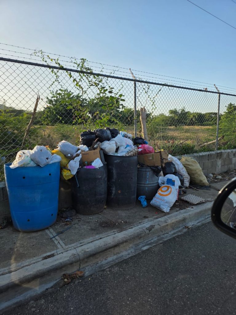 basura jacagua