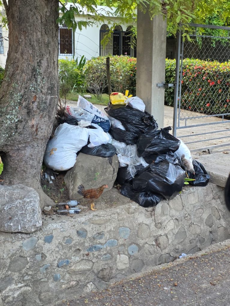 basura jacagua1
