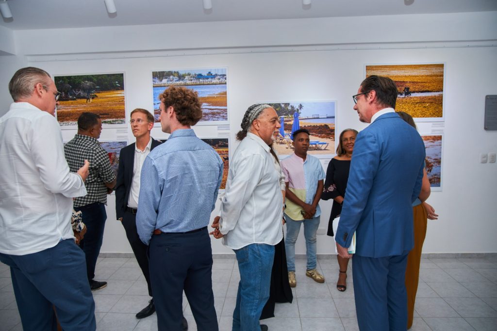 Exposicion FOTOMAR llega a Santiago con enfoque en la conservacion marina