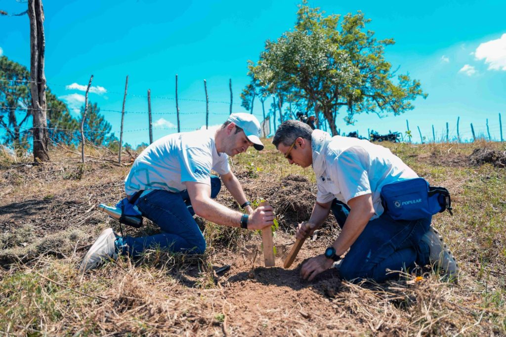 Grupo Popular impulsa reforestacion en la Cordillera Central junto al Plan Sierra
