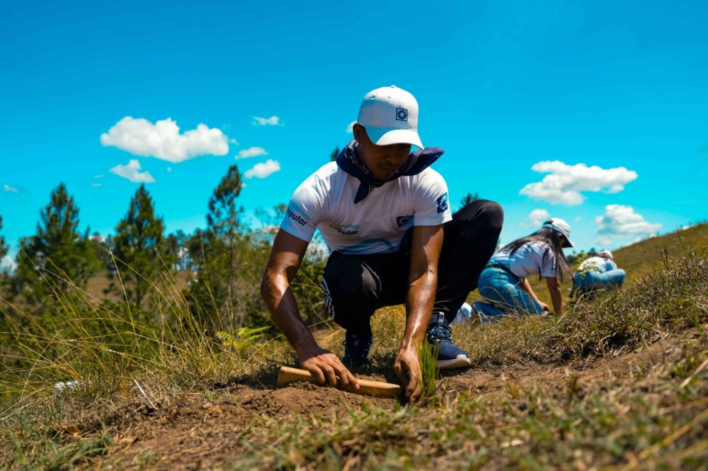 Grupo Popular impulsa reforestacion en la Cordillera Central junto al Plan Sierra1
