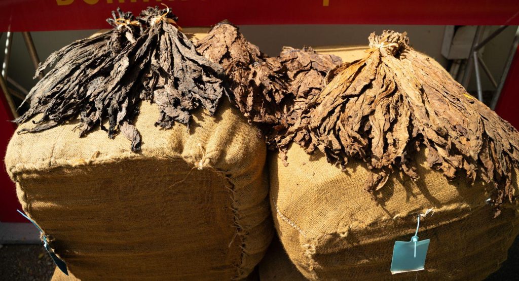 Tabaco de cigarro chino debuta RD