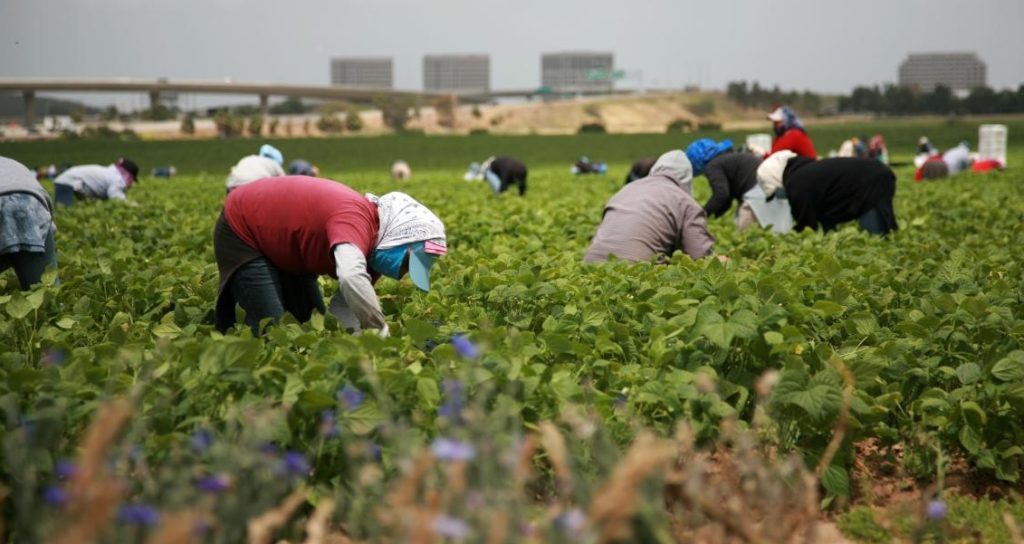 inmigrantes han dejado la fuerza laboral