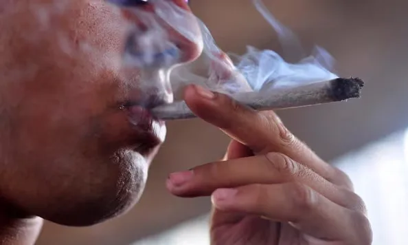 Informe revela más jóvenes consumen marihuana en NY, figuran dominicanos Informe revela mas jovenes consumen marihuana en NY figuran dominicanos