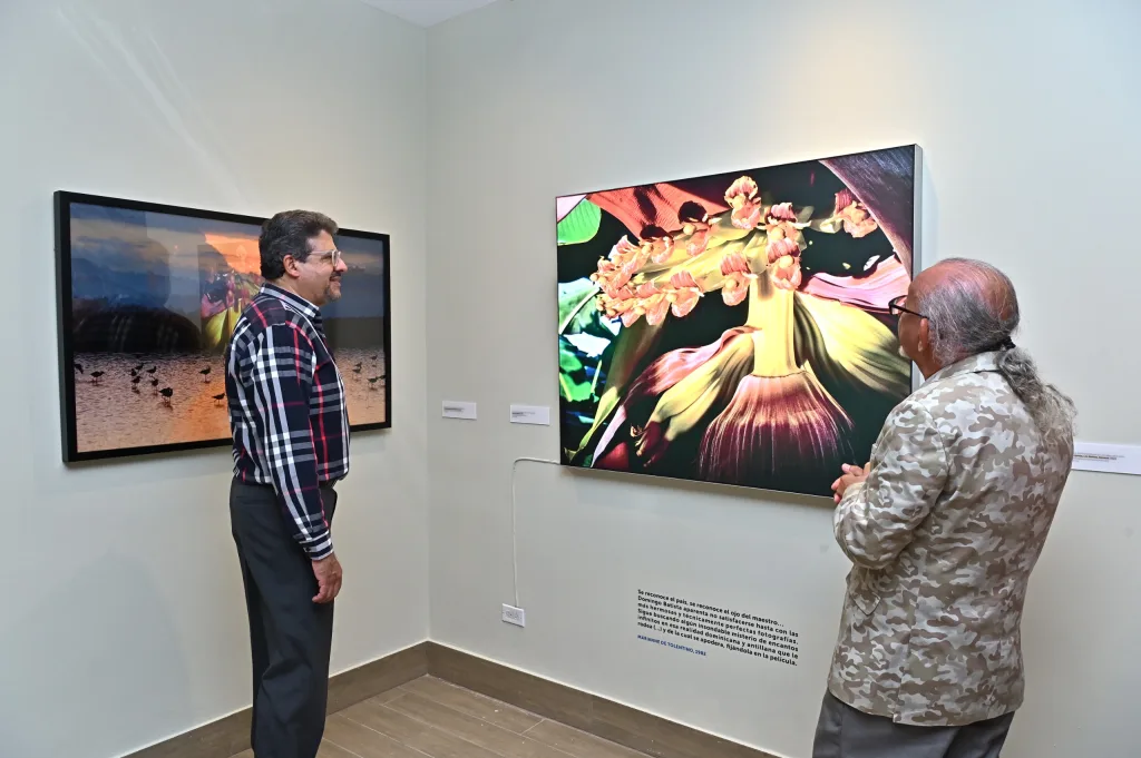 Banreservas abre su Centro Cultural en Santiago con dos exposiciones que exaltan el arte cibaeño Banreservas abre su Centro Cultural en Santiago con dos exposiciones que exaltan el arte cibaeno