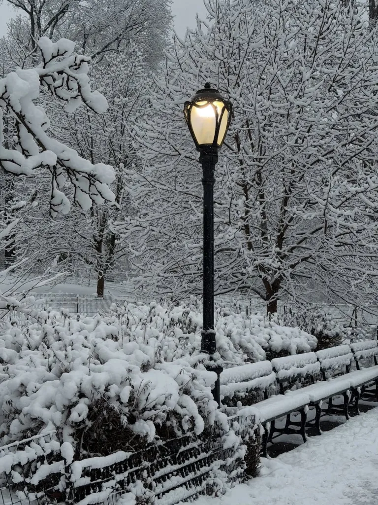 Tormenta invernal provoca caos aéreo en EE. UU. y afecta viajes de dominicanos en fin de año tormenta invernal de nieve