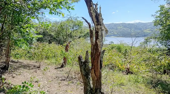 Conflicto en Tavera por intento de vía cercana a la presa desata rechazo comunitario Tavera por intento de via cercana a la presa desata rechazo comunitari