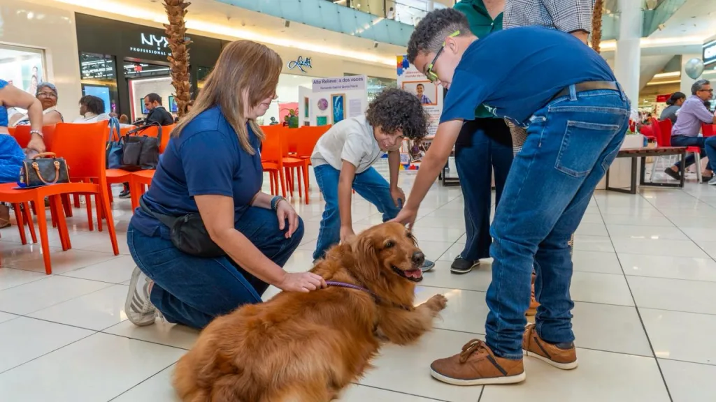 Especialistas del CAID fortalecen orientación familiar en jornada sobre autismo en Santo Domingo CAID fortalecen orientacion familiar en jornada sobre autismo en Santo Domingo1