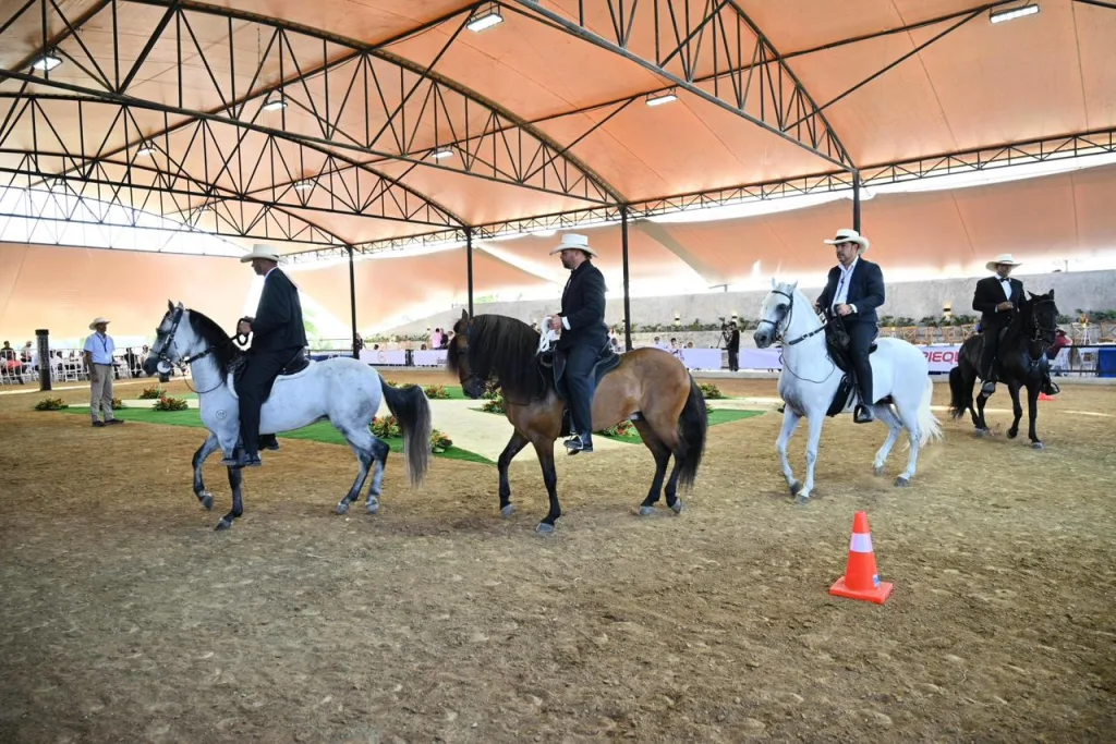 Santiago estrena moderno complejo ecuestre de clase internacional Santiago estrena moderno complejo ecuestre de clase internacional