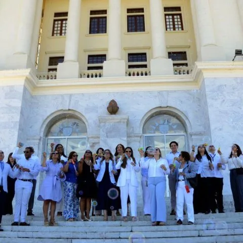 Neumonorte urge acciones del Estado para enfrentar el asma en República Dominicana Neumonorte urge acciones del Estado para enfrentar el asma en Republica Dominicana