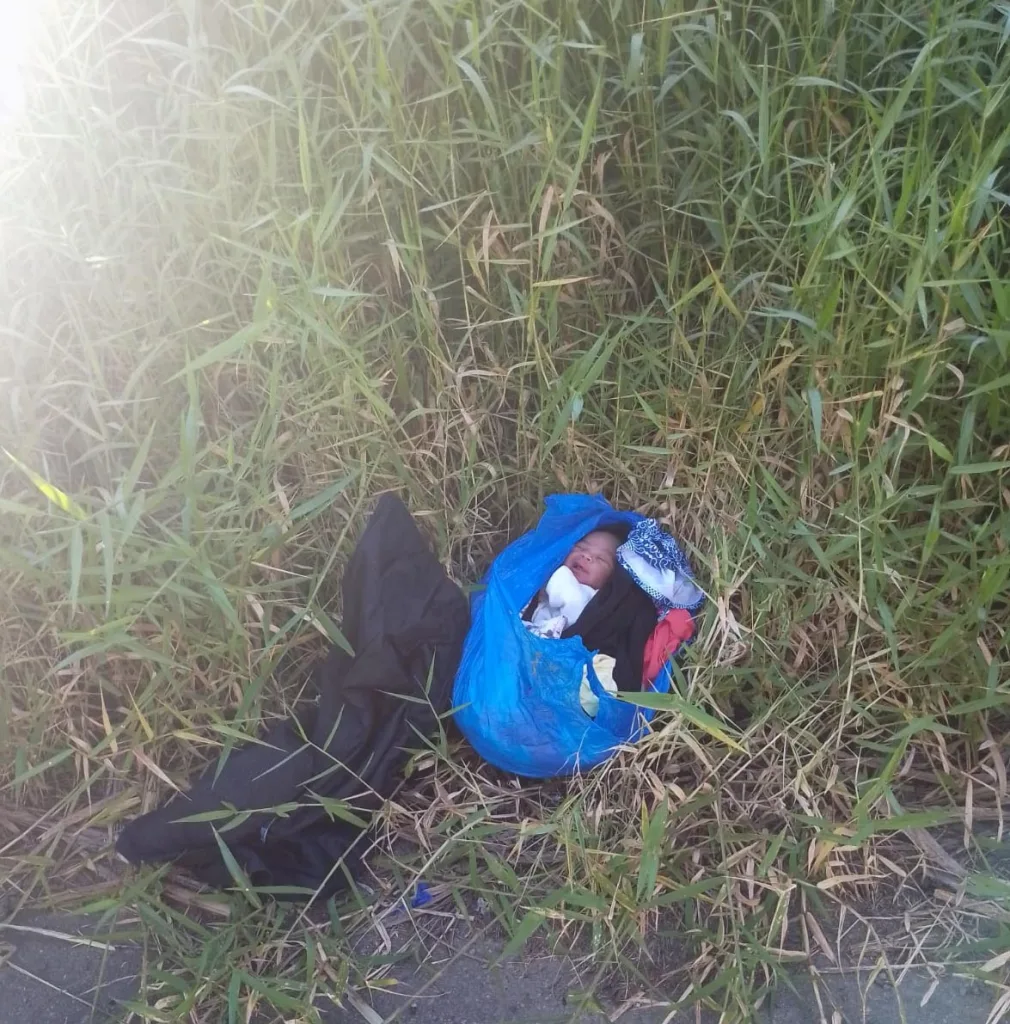 Autoridades rescatan a recién nacida abandonada en Jarabacoa bebe abamdonado rescatan a recien nacida abandonada en Jarabacoa1