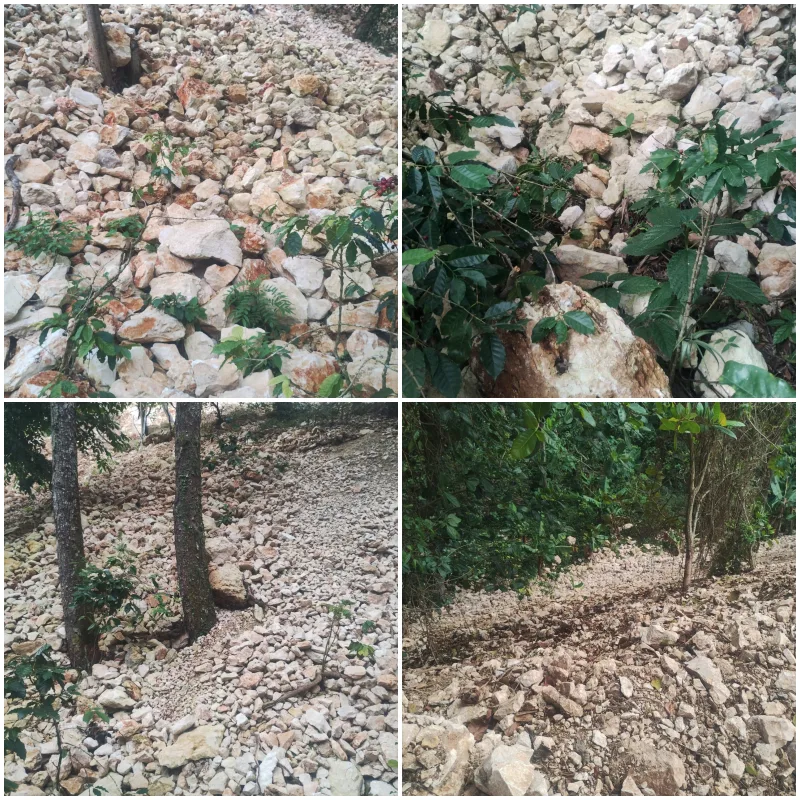 Productores agrícolas de Polo anuncian demanda contra constructora COGUSA, el BID y Obras Públicas por daños a sus propiedades collage