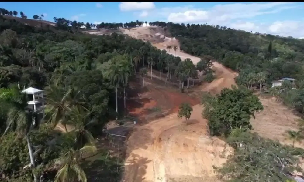 Comunitarios denuncian “ecocidio” en el Santo Cerro y marchan contra la deforestación ecocidio en el Santo Cerro y marchan contra la deforestacion