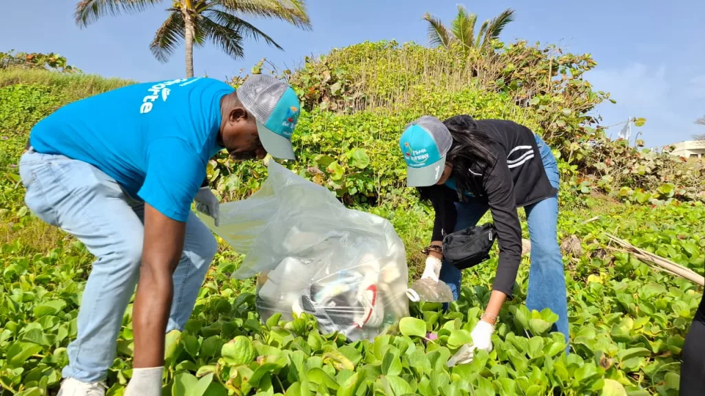 EDENORTE recolecta 1,500 libras de desechos en jornada de limpieza de playa en Puerto Plata limpieza en pla Los Castillitos en Puerto Plata 2