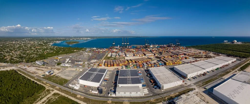 Manglares de Boca Chica logran 86 % de supervivencia tras un año de restauración Manglares de Boca Chica logran 86 de supervivencia tras un ano de restauracion1