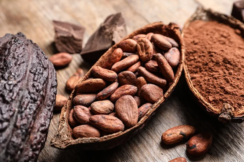 Santiago recibirá la 6ta edición del Festival del Chocolate Dominicano en Ágora Santiago Center Santiago recibirá la 6ta edición del Festival del Chocolate Dominicano en Ágora Santiago Center
